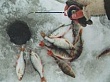 Прошел открытый чемпионат Уватского района по ловле на мормышку со льда